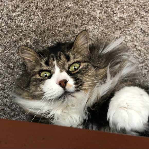 WELCOME! Read Description ☺️😘 - Picture 1 of 1